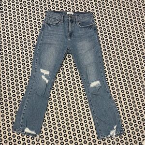 Pistola Blue Straight Leg Distressed Jeans